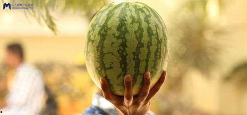 娱乐圈可以吃大瓜,揭秘明星幕后真相