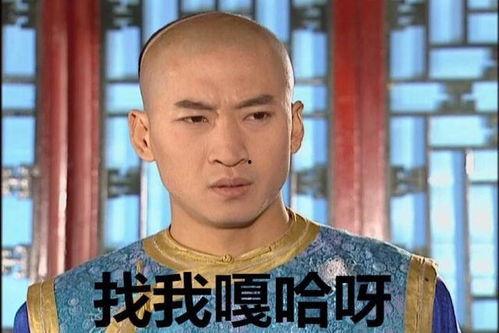 表情包 不 尔康